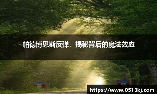 帕德博恩斯反弹，揭秘背后的魔法效应