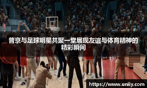 tyc7111cc太阳成集团